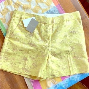 NWT Gorgeous Leifsdottir high waisted shorts